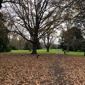 Meet your Posher, Isabella